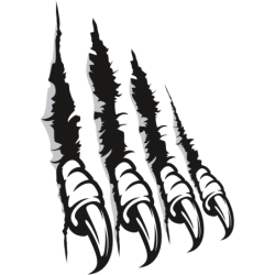 Pazury Koszulka dziecięca 150g