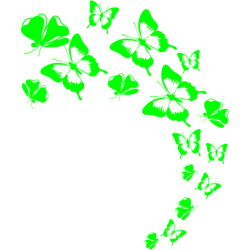 Zielone motylki Koszulka dziecięca 150g