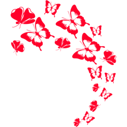 Czerwone motylki Koszulka dziecięca 150g