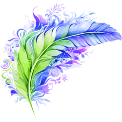 Śliczne piórko Koszulka dziecięca 150g