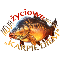 Motto Karpie diem Koszulka męska 170g