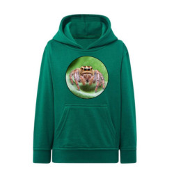 Pająk Skakun Bluza dziecięca z kapturem 290g