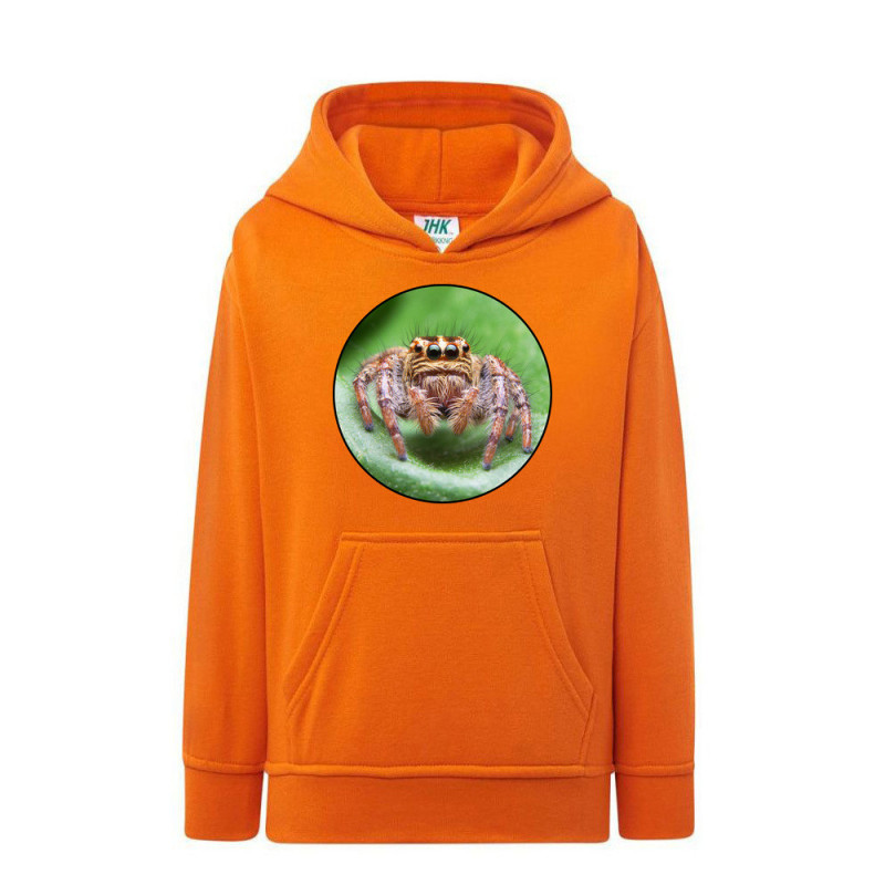 Pająk Skakun Bluza dziecięca z kapturem 290g