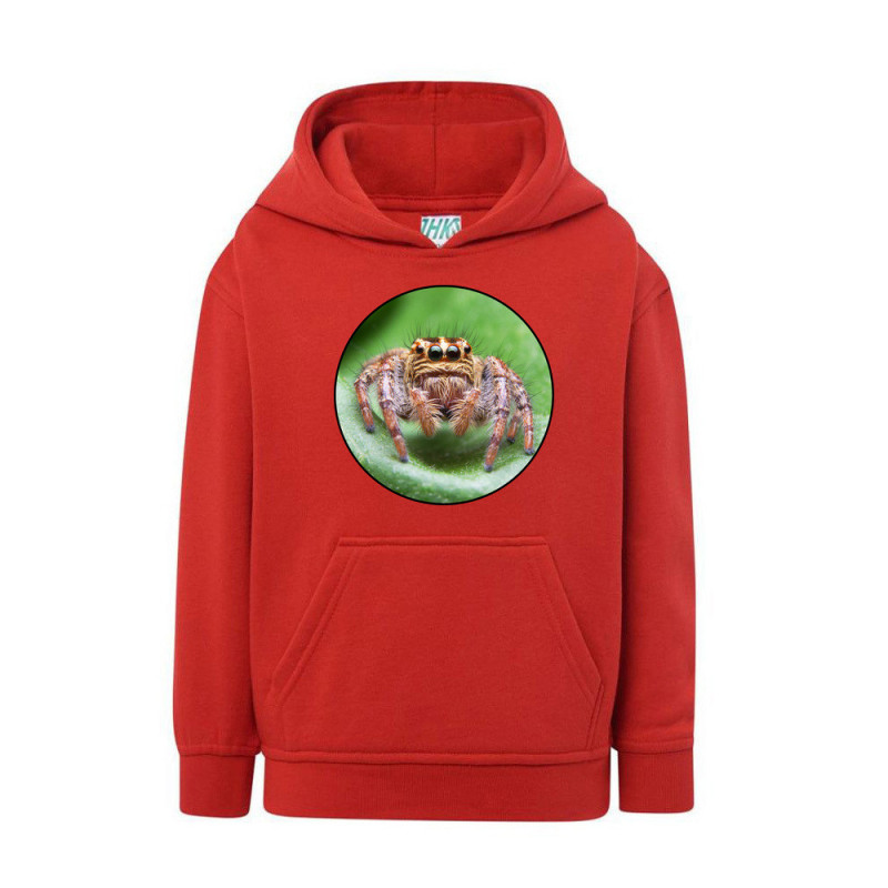 Pająk Skakun Bluza dziecięca z kapturem 290g