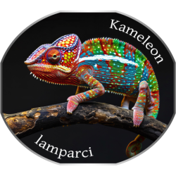 Kameleon lamparci Bluza dziecięca z kapturem 290g