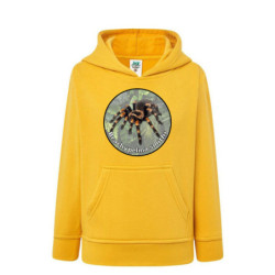 Ptasznik czerwonokolanowy...